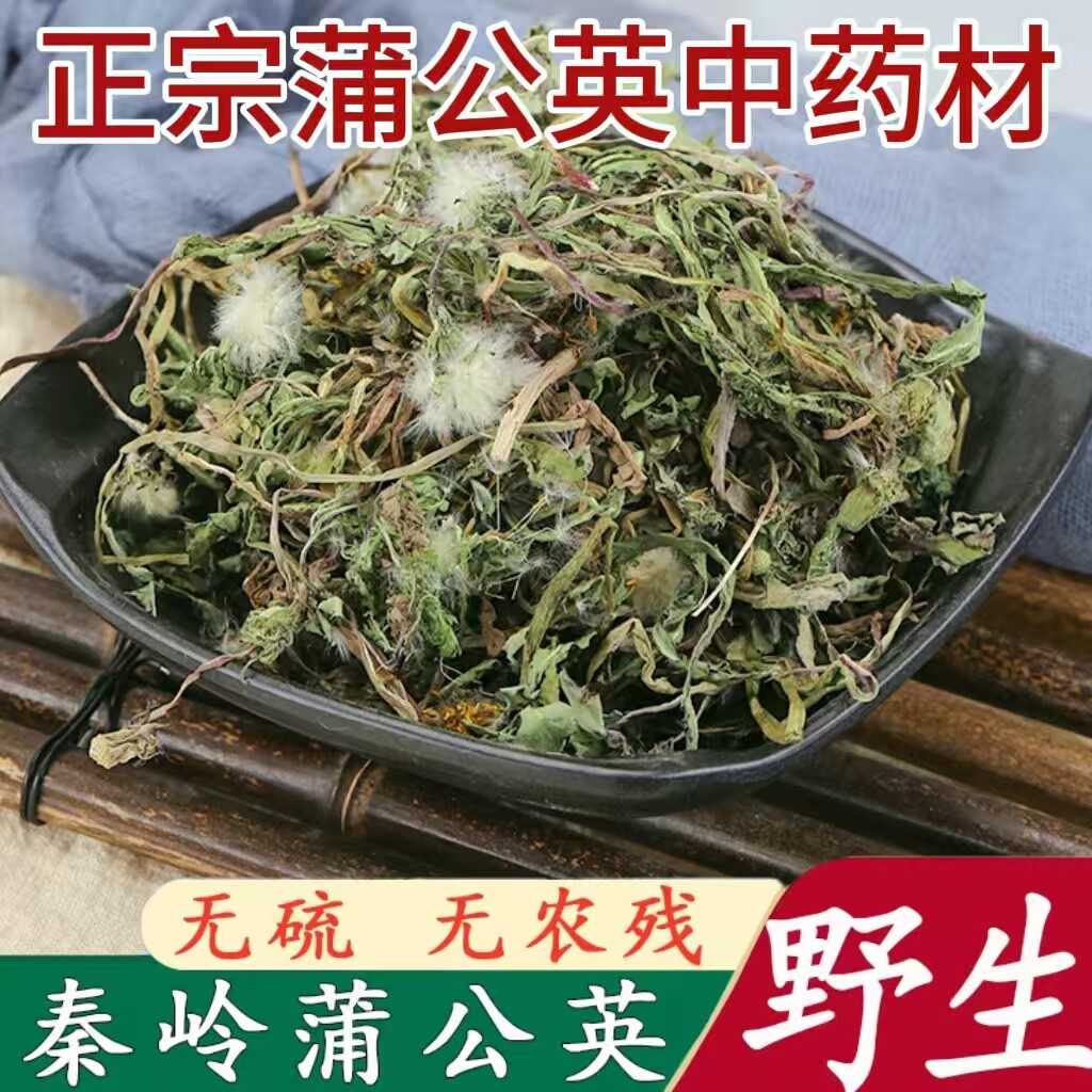 蒲公英正品特级野生中药材新鲜带根婆婆丁干货泡水养生茶茶