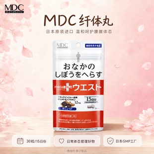 【MDC】小腰精腰腹身材管理专家