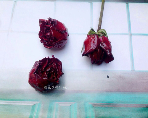滴胶永生花树脂耳钉手工饰品配件