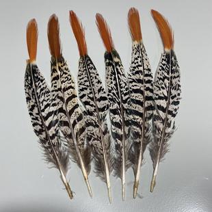 新款限量疯抢锦鸡红箭毛野鸡毛山尾散羽毛服装耳环辅料DIY饰品