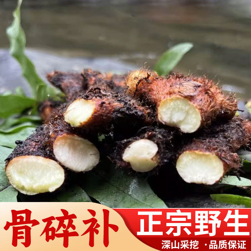 湖南深山新鲜骨碎补毛姜爬岩姜石岩姜接骨500g/件 包邮姜中药材