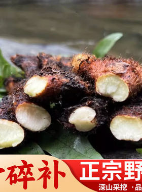 湖南骨碎补新鲜爬岩姜中药材