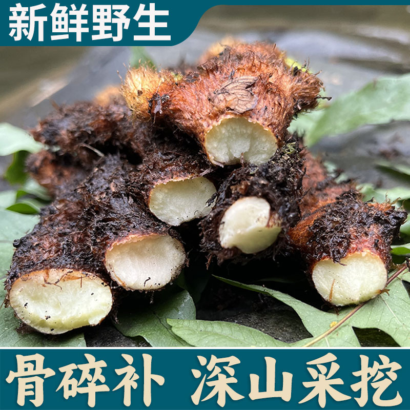 湖南深山新鲜骨碎补毛姜爬岩姜石岩姜接骨500g/件 包邮姜中药材