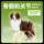 Корм для щенков крупных и средних пород crown energy dog food корм для щенков средних пород по полной цене general side shepherd method, формула для борьбы с хорошим пищеварением mini 4