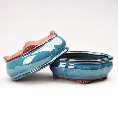 Creative Chinese Style Bonsai Flowerpot Ventilate Purple San