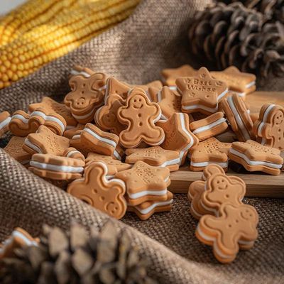 10pcs Simulation Christmas Cookies Model Cute Gingerbread Ma