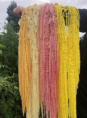 酒店婚礼装饰花永生花吊米柔丽丝情人泪长穗花婚庆影楼装饰悬挂花