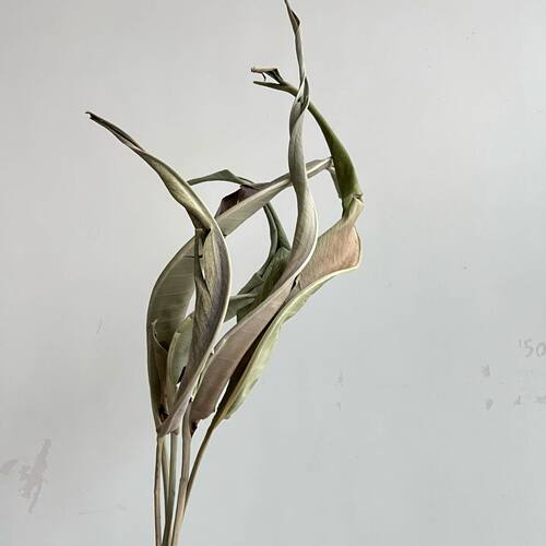 插花永生花鸟叶干花软装