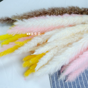 小芦苇永生花花材干花组合花束漂白小芦苇混搭组合家居装饰摆件
