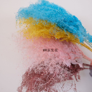 雾中情人永生花黄栌ins风森系装饰浮游花网红真花干花家居装饰