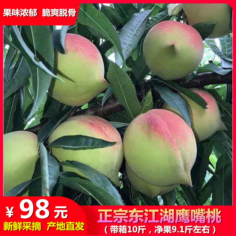 东江湖鹰嘴桃新鲜水果现摘现发