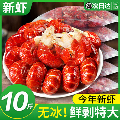 特级大号鲜活龙虾尾【顺丰闪送】