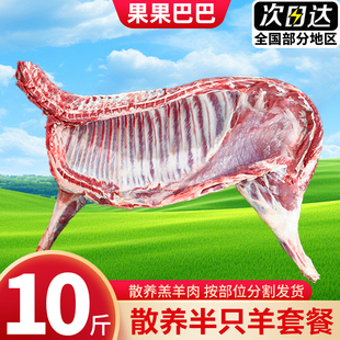 10斤原切半只羊新鲜羊排羊蝎子羊腿礼盒套餐冷冻烧烤食材年货礼品