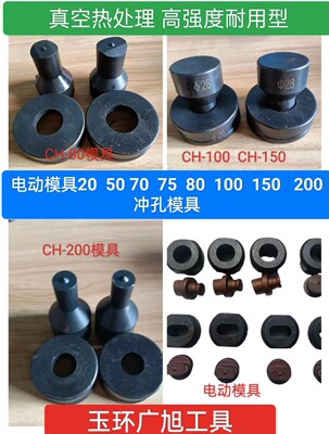 玉环广旭冲孔模具电动模具