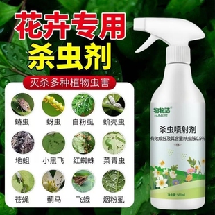 专灭花盆小飞虫药黑飞净专杀小黑飞去的虫子一遍净花卉花里有通用