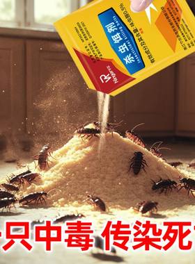蟑螂药粉强力绝杀灭偷油婆除小强神器一锅端家用室内全窝端非无毒