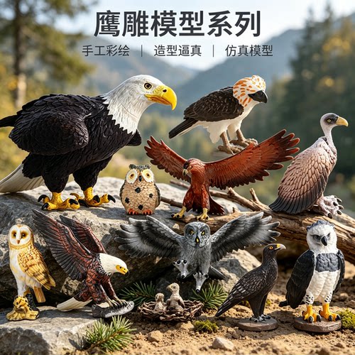 儿童仿真老鹰认知礼物玩具摆件