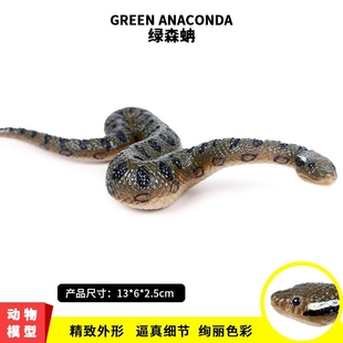 仿真两栖动物蛇模型玩具绿森蚺 蟒蛇模型摆件儿童野生动物蛇玩具