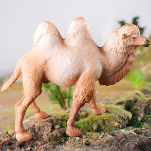 儿童认知实心仿真野生动物世界沙漠单双峰骆驼蒙古骆驼模型玩具