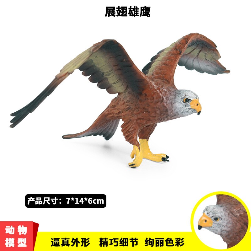 儿童认知仿真动物模型玩具实心静态塑胶鸟类展翅老鹰海雕盆栽摆件