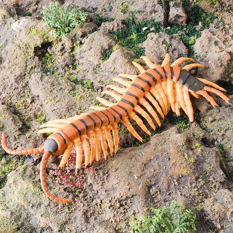 仿真蜈蚣模型动物爬行昆虫玩具儿童认知男女孩摆件万圣节整蛊礼物