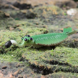 仿真远古动物玩具史前海洋三叶虫奇虾菊石寒武纪鹦鹉螺板足鲎模型