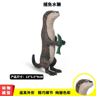 儿童认知仿真海洋动物模型玩具实心水獭鱼猫水猴造景摆件男孩礼物