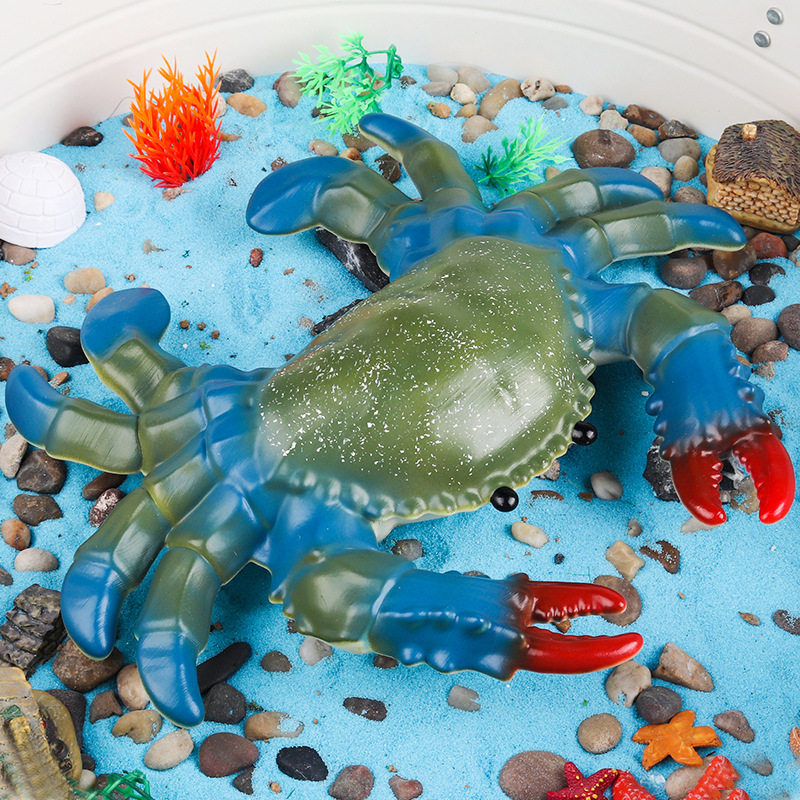 儿童认知仿真海洋动物模型青螃蟹梭子蟹大闸蟹兰花蟹发泄解压玩具