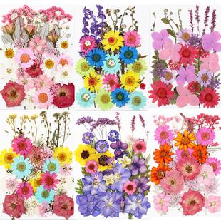 Resin Fillings Dried Flower Pressed Flower for Home Decorati