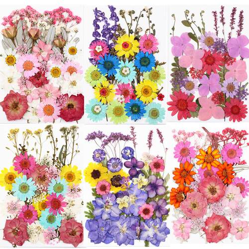 Resin Fillings Dried Flower Pressed Flower for Home Decorati