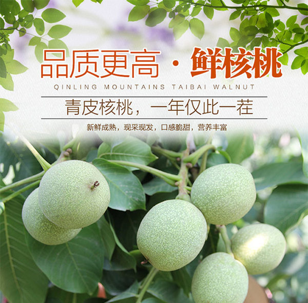 等待自然 山西野生去青皮核桃鲜核桃 5斤 优惠券折后￥9.9包邮（￥14.9-5）