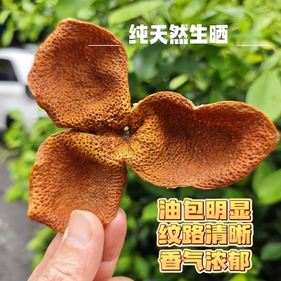 广西浦北茶枝柑狗腩皮