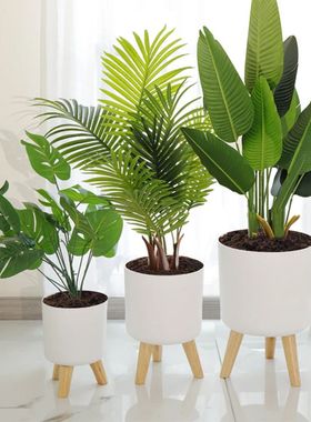 Floor-standing Round Flower Pot Feet Herbs Self Watering Dra