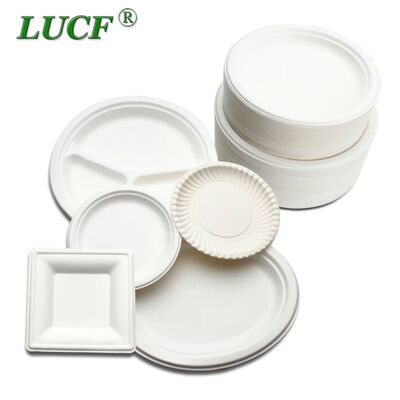 Biodegradable Disposable Natural Bagasse Paper Plates 5-10 I