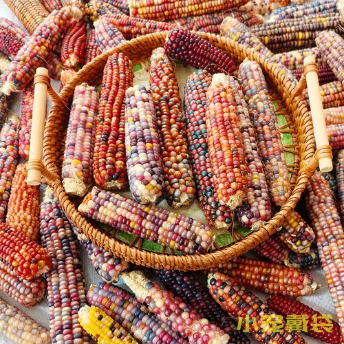 彩色宝石文玩玉米毛料网红把玩