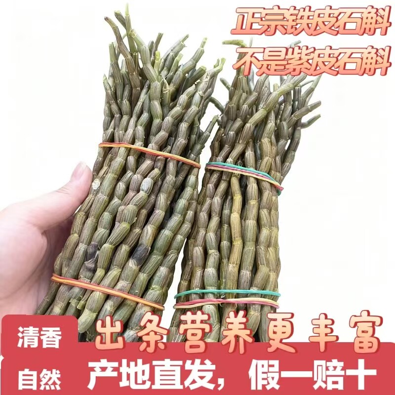 云南铁皮石斛鲜条非霍山雁荡山石斛杆石斛仿野外新货现摘新鲜