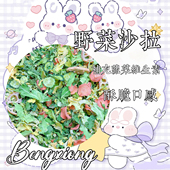 野菜沙拉 仓鼠金丝熊花枝鼠兔兔可用 胡萝卜野菜黄瓜藕混合沙拉