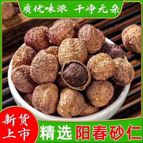 正宗阳春砂仁材春沙仁果干特级春砂仁煲汤养胃炖汤春沙仁果真货