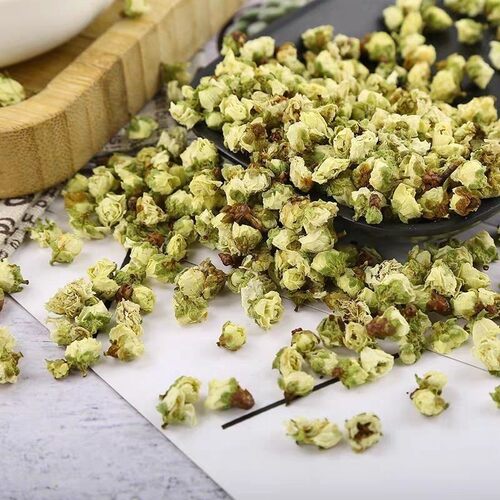 新货绿萼梅白梅花材绿梅花泡水泡茶可搭玫瑰花真货