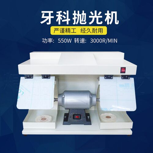 牙科大罩子抛光机带防护罩打磨机抛光机双头技工义齿加工厂550W