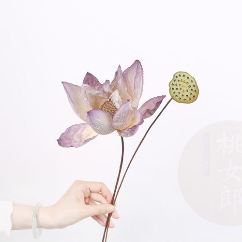 干花荷花莲花干莲蓬桃女郎工作室