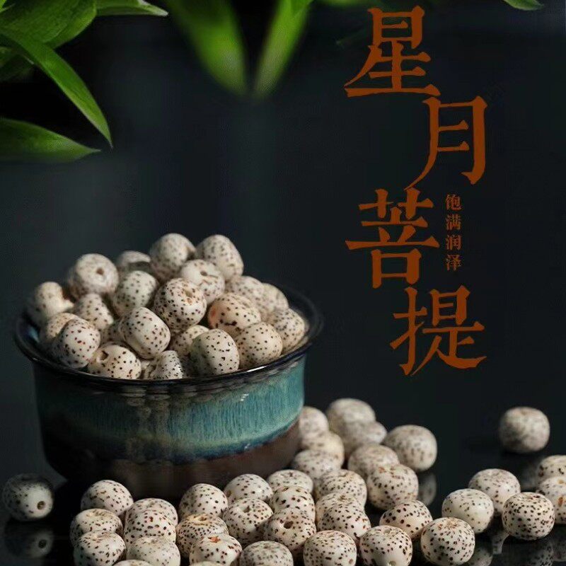天然海南星月菩提籽星月高密顺月