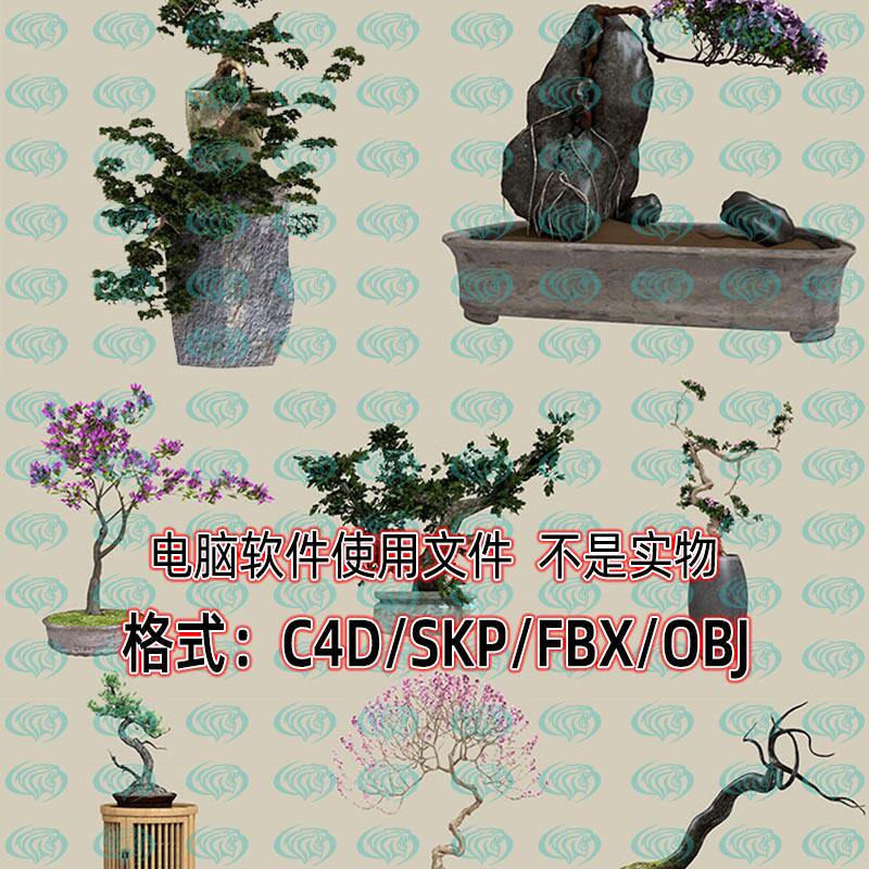 maya unity 3dmax奇松怪石禅意盆栽盆景中式室内植物3d模型SU C4D
