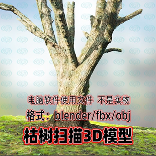 blender枯树扫描maya老树3dmax枯死树木树干3d扫描模型fbx素材obj