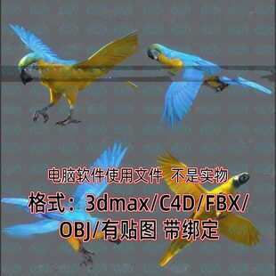 红鹦鹉带绑定动画鸟3D模型素材源文件obj犀牛c4d 3dmax fbx