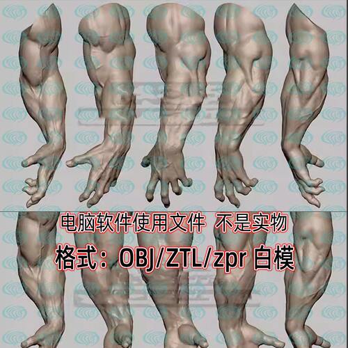 ZBrush粗壮肌肉手臂3D模型zb上臂肌肉血管手臂ZPR工程OBJ白模素材