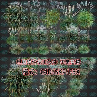 maya 3dmax河湖水边茅草杂草堆芦苇蒲苇19款 3d模型SU C4D unity
