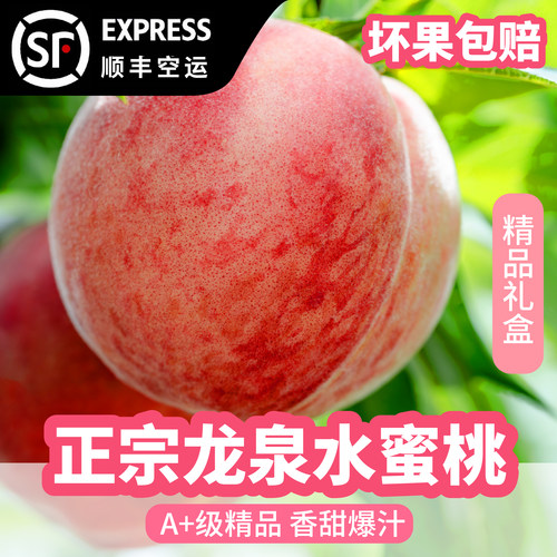 正宗龙泉驿水蜜桃特大果9个6斤新鲜软桃白凤晚湖景香甜多汁顺丰