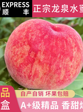 甄选四川成都正宗龙泉驿水蜜桃新鲜香甜多汁果园直发顺丰空运