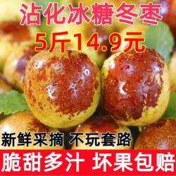 山东滨州沾化冬枣冰糖冬枣脆甜多汁新鲜水果现摘现发大枣整箱包邮